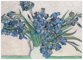 Obraz - Vincent van Gogh, Irises, reprodukcia (70x50 cm)