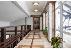 Globo 416080WD1R - LED Stropné svietidlo DORO LED/12W/230V pr. 30 cm