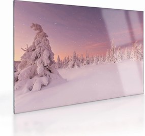 Sklenený obraz - Stromy pod snehovou prikrývkou (70x50 cm)