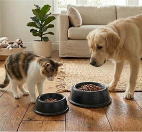 Kameninová miska pre domáceho miláčika ø 21 cm – Casafina