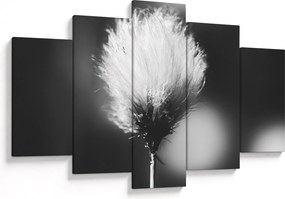 Obraz - Čiernobiely cottongrass (150x105 cm)