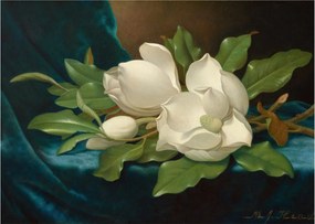 Sklenený obraz - Martin Johnson Heade, Giant Magnolias on a Blue Velvet Cloth, reprodukcia (70x50 cm)