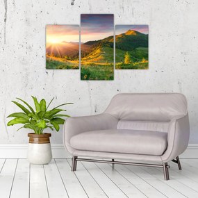 Obraz - Letná krajina (90x60 cm)