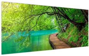 Obraz - Plitvické jazerá (120x50 cm)