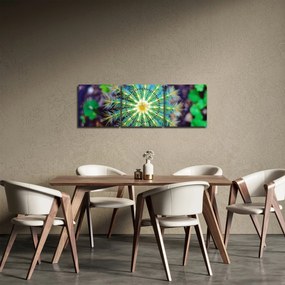 Obraz kaktusu (s hodinami) (90x30 cm)