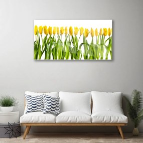 Obraz plexi Tulipány kvety príroda 100x50 cm