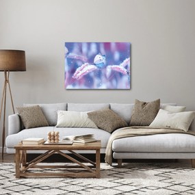 Obraz - Motýle v zime (70x50 cm)