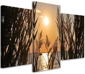 Obraz na plátně třídílný Západ slunce s mořskou trávou - 150x100 cm