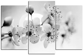 Obraz na plátne - Malé kvety na vetve 1173QC (120x80 cm)
