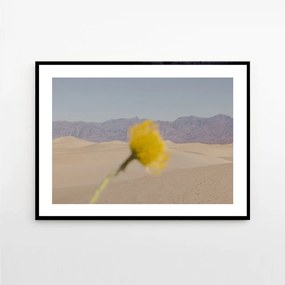 The Poster Club Plagát Desert Mirage by Nicole Mason 40x50 cm