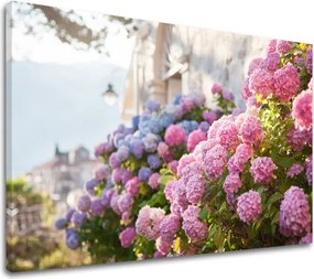 Obraz na stenu RUŽOVÉ KVETY_157-11