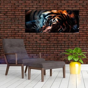 Obraz ležiaceho tigra (120x50 cm)