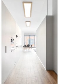 Eglo 99473 - LED stropné svietidlo PIGLIONASSO LED/32W/230V 345x1245 mm