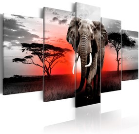 Artgeist Obraz - Lonely Elephant Veľkosť: 200x100, Verzia: Na talianskom plátne