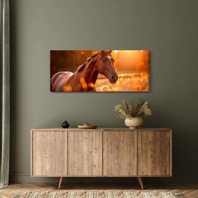 Obraz - Kôň v západe slnka (120x50 cm)