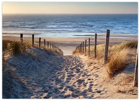 Obraz - Cesta k pláži Severného mora, Holandsko (70x50 cm)