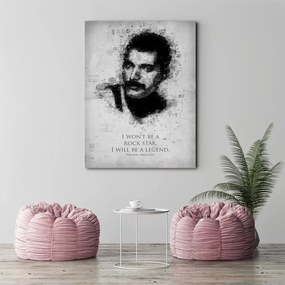 Gario Obraz na plátne Freddie Mercury - Gab Fernando Rozmery: 80 x 120 cm