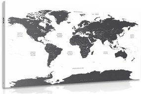 Obraz mapa sveta s jednotlivými štátmi v sivej farbe - 60x40