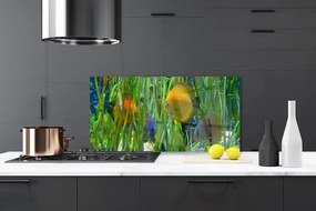 Sklenený obklad Do kuchyne Ryba riasy príroda 120x60 cm