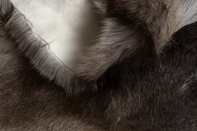 Koberec RENIFER POK018 hnedý / sivý