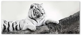 Gario Obraz na plátne Pozorný tiger Rozmery: 120 x 40 cm