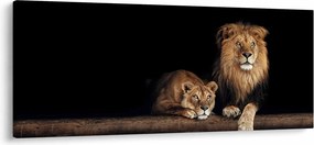Obraz - Lev a levice (120x50 cm)