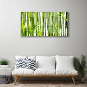 Skleneny obraz Bambusové výhonky listy bambus 100x50 cm