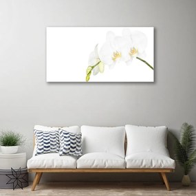 Skleneny obraz Kvety rastlina príroda 125x50 cm