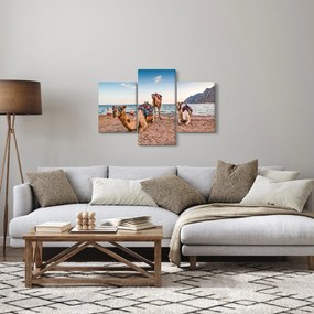 Obraz tiav (90x60 cm)