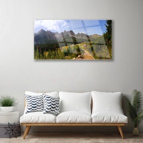 Skleneny obraz Hala góry droga natura łąka 140x70 cm