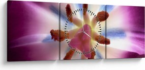 Obraz - Kvet tulipánu v detailu (s hodinami) (90x30 cm)