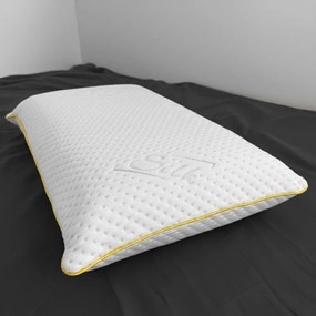 Vankúš z pamäťovej peny Azonelo výška 16 cm - poťah s hodvábom