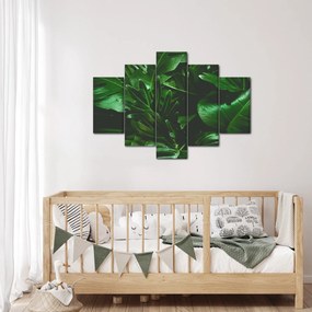 Obraz - Palmové listy (150x105 cm)