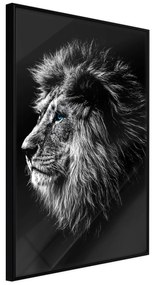 Artgeist Plagát - Blue-eyed Lion [Poster] Veľkosť: 20x30, Verzia: Zlatý rám