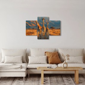 Obraz - Žirafy na pastvine (90x60 cm)