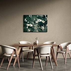 Obraz - Pavučina (70x50 cm)