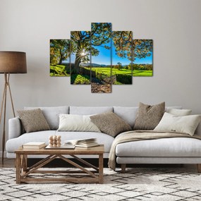 Obraz - Výhľad na pole (150x105 cm)