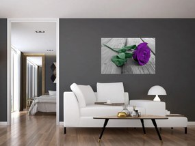 Obraz - Fialová ruža so zelenou stonkou (90x60 cm)