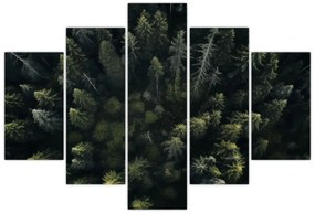 Obraz - Les (150x105 cm)