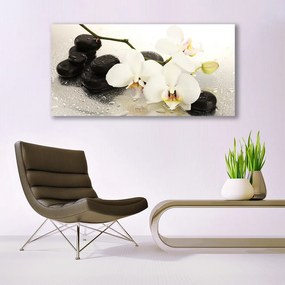 Obraz plexi Kvet kamene umenie 120x60 cm