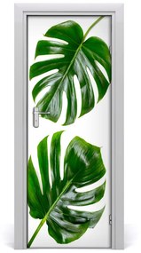 Fototapeta na dvere Monstera 75x205 cm