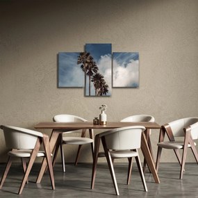 Obraz - Palmová dráma (90x60 cm)