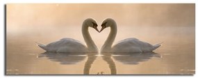 Obraz na plátne Swan Love, 90 × 30 cm