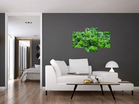 Obraz sukulentov (90x60 cm)