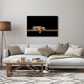 Obraz - Levice (90x60 cm)