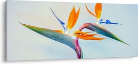 Obraz kvetu Strelícia (120x50 cm)