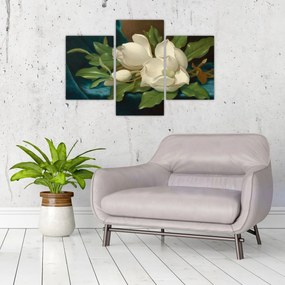 Obraz - Martin Johnson Heade, Giant Magnolias on a Blue Velvet Cloth, reprodukcia (90x60 cm)