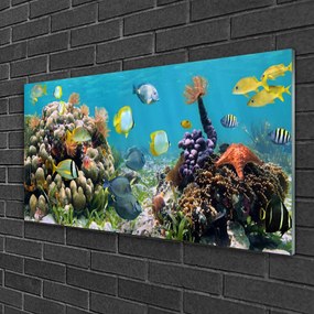 Obraz na skle Koralový útes príroda 120x60 cm