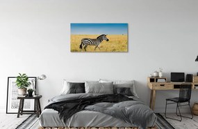 Obraz na plátne Zebra box 120x60 cm