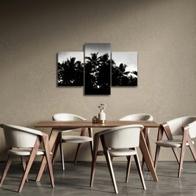 Obraz čiernobiely - palmy (90x60 cm)
